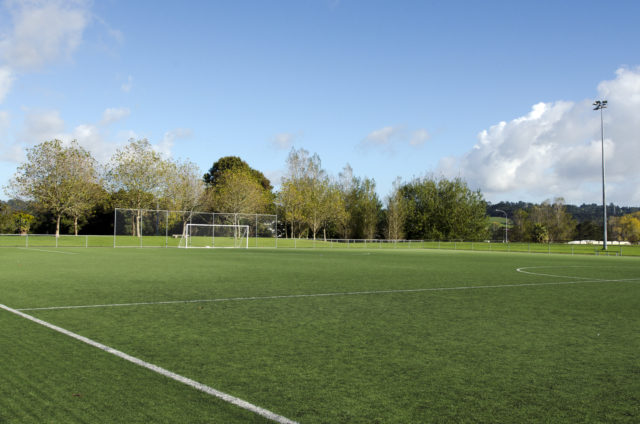 Goal Power Coaching - Training pitch